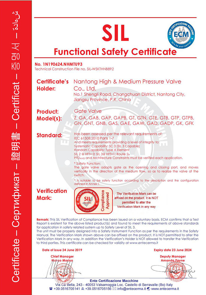 13.Functional Safety Certificates Gate Valve 1