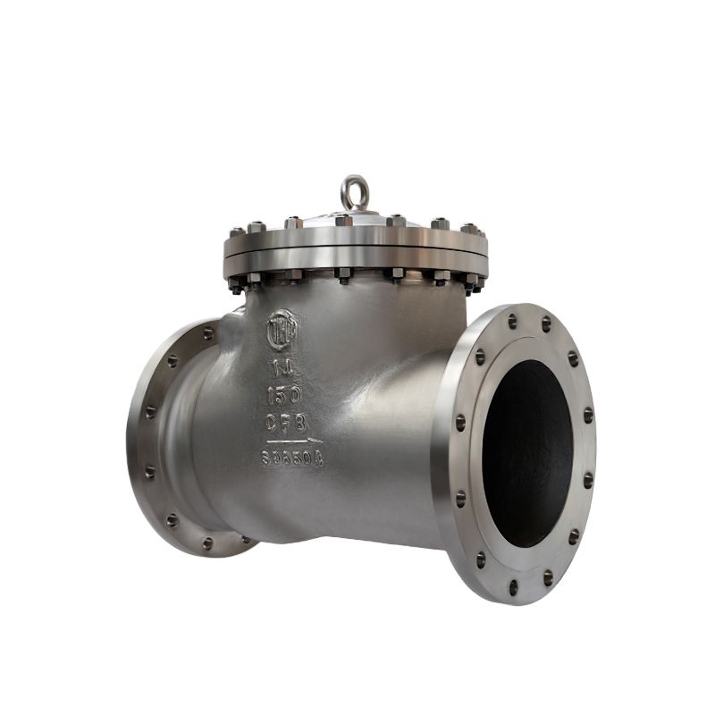 Bolted Bonnet Swing Check Valve (3)