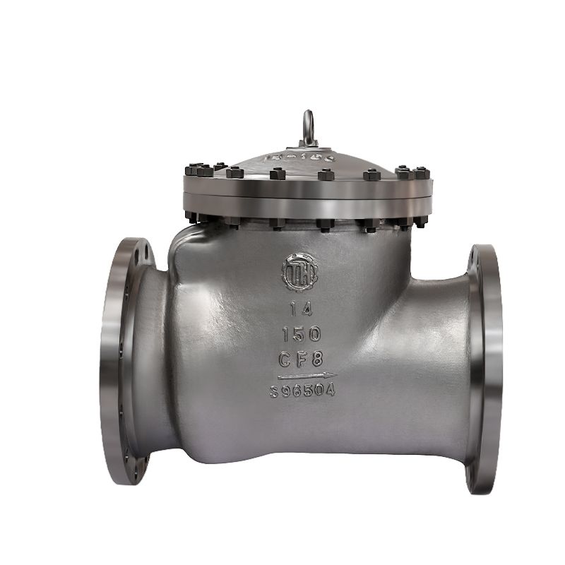 Bolted Bonnet Swing Check Valve (4)