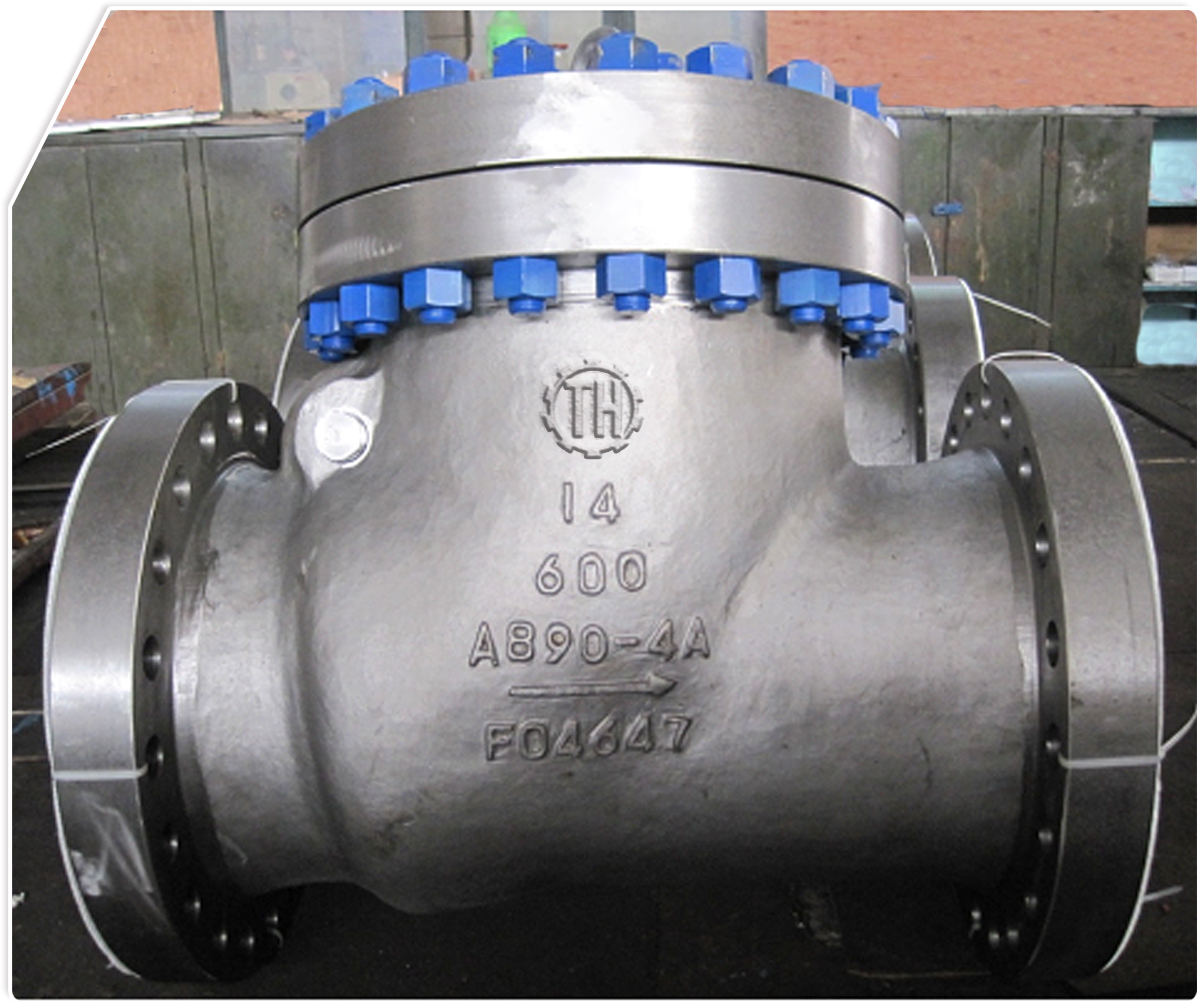 Bolted Bonnet Swing Check Valve (1)