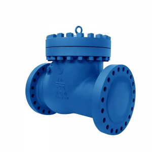 Swing Check Valve